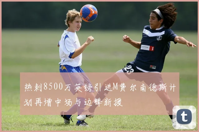 热刺8500万英镑引进M费尔南德斯计划再增中场与边锋新援